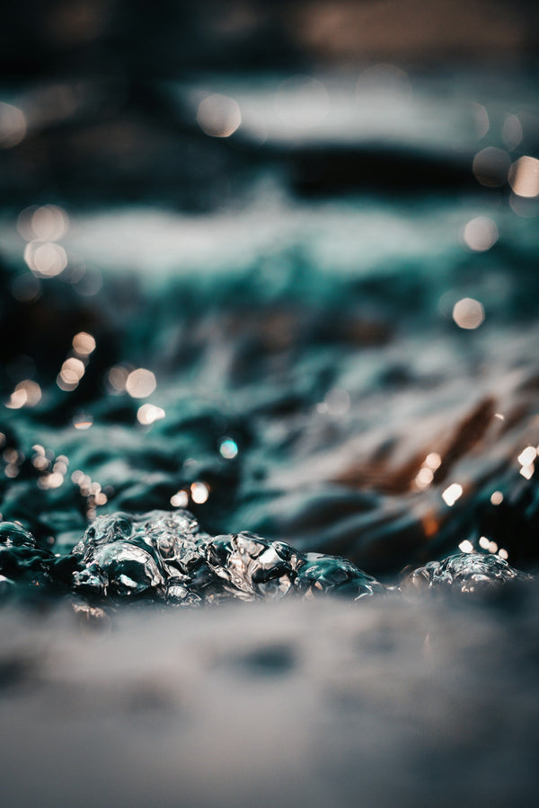 Aquatic