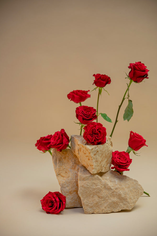 Chypre