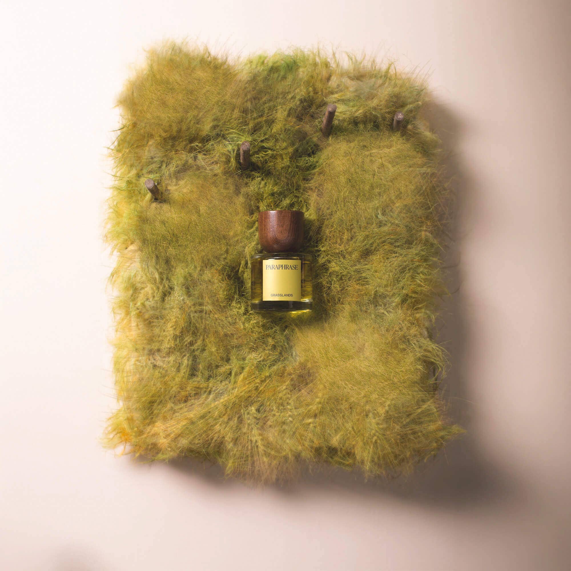 Grasslands