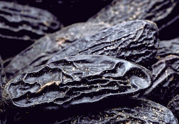 Tonka Bean