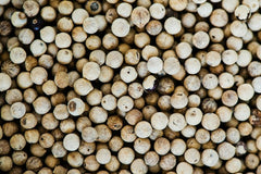 White Pepper
