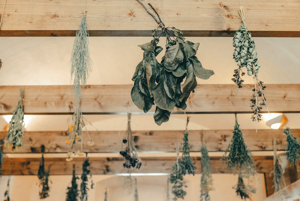 Foraged Herbs