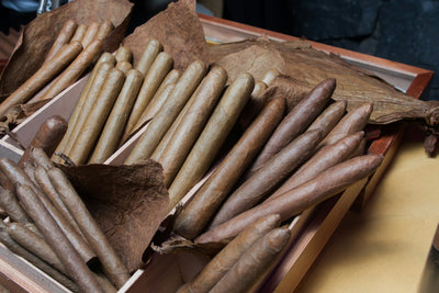 Tobacco