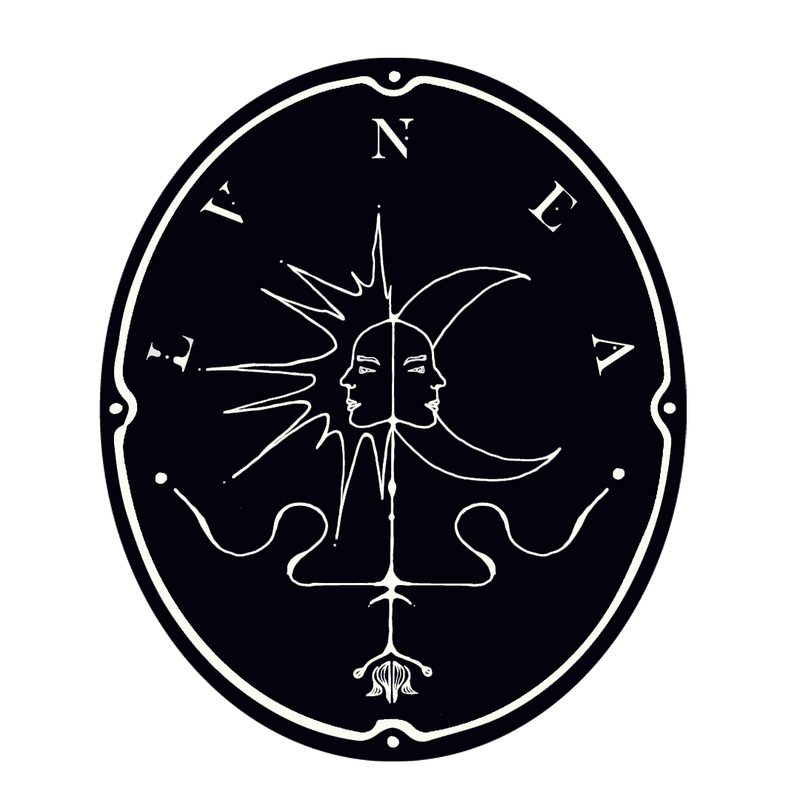 Lvnea