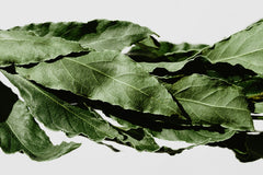 Bay Leaf (Laurel)