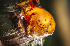 Resin