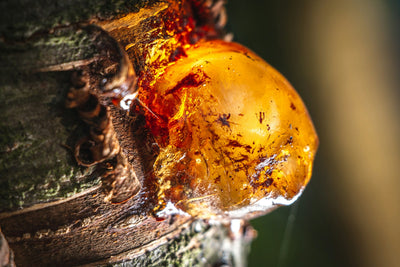 Resin