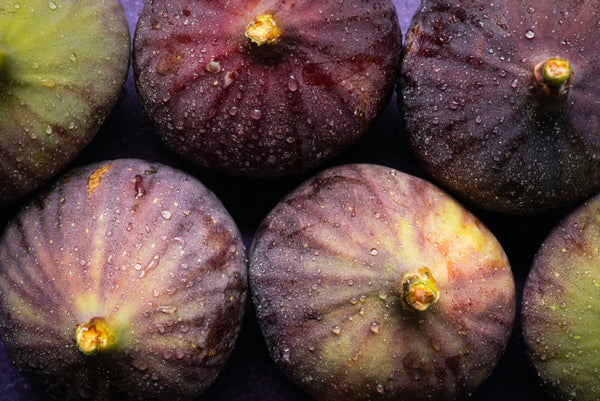 Fig