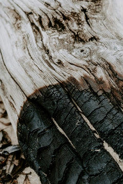 Charred Wood