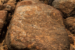 Hyraceum